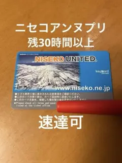 ニセコアンヌプリ　５０時間券　残り３２時間 2026年最新】ニセコアンヌプリ 時間券の人気アイテム - メルカリ