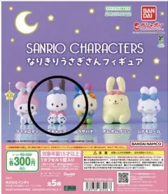 ➁ 【たやぴん様専用】　　ポチャッコ
