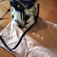 DIANA ファー 巾着 ショルダーバッグのサムネイル