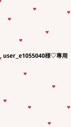 user_e1055040様♡専用