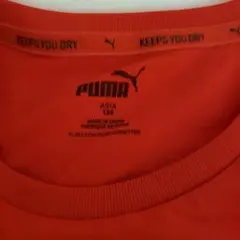 PUMA キッズ Tシャツ 赤 150cm