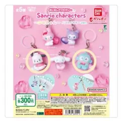サンリオ めじるしアクセサリー エモきゅん パステルver. 2体