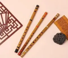 Item thumbnail for item 84d48c99-8e41-4f28-ac32-bf4afa6ac2b6