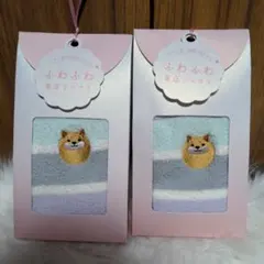 Item thumbnail for item b821d369-93e4-4640-b032-08c393f0e250