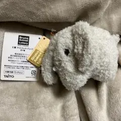 ミッフィー 一番くじ ゾウ