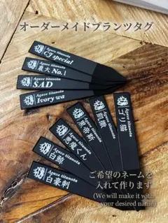 6本　プランツタグ　園芸ラベル　アガベ　チタノタ　白鯨　黒鯨　ハデス　シーザーのサムネイル