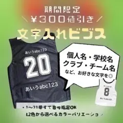 【名入れ】ビブス オーダーメイド 1枚 1箇所プリント (枚数変更可能)のサムネイル