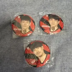 バレーボール男子日本代表 カプセル缶バッジコレクション