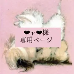 ❤︎ y ❤︎様 専用ページ
