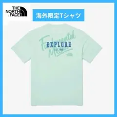 【海外限定】THE NORTH FACE（ノースフェイス）Tシャツ