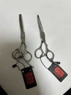 Item thumbnail for item 62390b1e-7d5c-43e8-b641-25ce5f8141cf