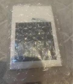 Item thumbnail for item 377c4644-0ad1-425b-aec6-b16e72d2d6c0