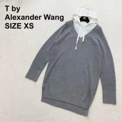 【新品未使用】ティーバイアレキサンダーワン　レイヤードニット　フーディー（530