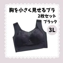 【SALE】1599 胸を小さく見せるブラ 2枚セット ノンワイヤー 黒 3L