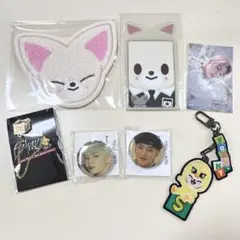 straykids アイエン フォクシニー まとめ売り