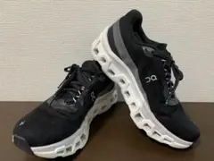 Item thumbnail for item f8628e29-7a5c-49f7-bab1-66bcfe7139ff