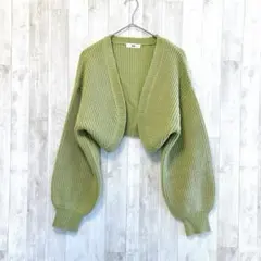 WEGO ウィゴー　ニット　ボレロ　ショート丈　グリーン　フリーサイズ　春