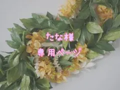 たな様専用ページ