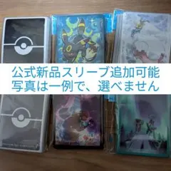 ポケモンカードゲーム　優勝デッキ　構築済みデッキ シロナのガブリアスexデッキ