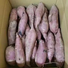 サツマイモ 茨城県産 紅はるか 箱含む 10キロのサムネイル