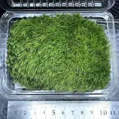 ひつじ雲様 リクエスト 2点 まとめ商品