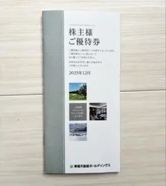 東急不動産ホ−ルディングス株主優待券(1000株以上5000株未満）