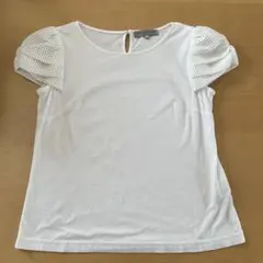 M-PREMIER 白Tシャツのサムネイル