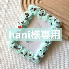 hani様 リクエスト 2点 まとめ商品