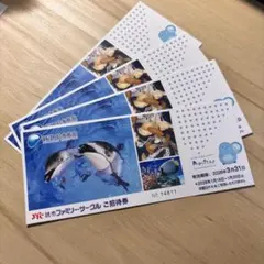 【24時間以内発送】新江ノ島水族館 チケット 招待券　水族館チケット えのすい