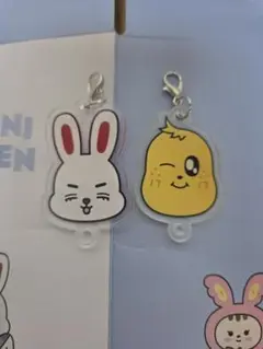 SEVENTEEN MINI TEEN　キーリング エスクプス+ミンギュ