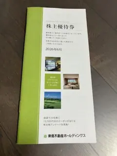 最新　東急不動産ホールディングス 株主優待券 500株以上1000株未満のサムネイル