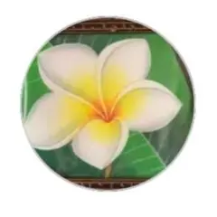 はなはな様おまとめ6点