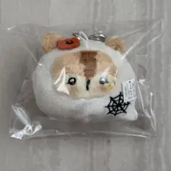 준스 xia RamXia 람샤 페이스 스키링