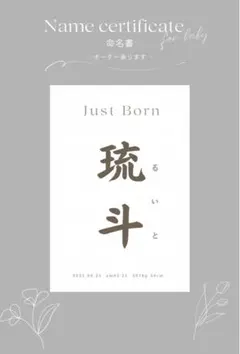 オーダー命名書/ハガキサイズ*初節句 男の子 女の子 ニューボーンフォト