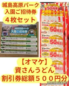 【即日24時間以内発送】城島高原パーク 入園券 4枚セット