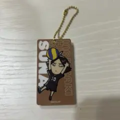 ハイキュー‼︎ 10th 記念展 ハイキュー展 つながる アクキー 稲荷崎 角名