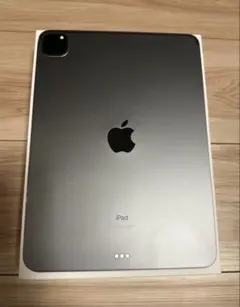 iPad Pro(11インチ) (第2世代)