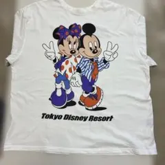 東京ディズニーリゾート Tシャツ ミッキー ミニー