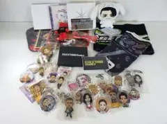 LDH EXILE TRIBE FAMILY グッズセット [ ALC-10]