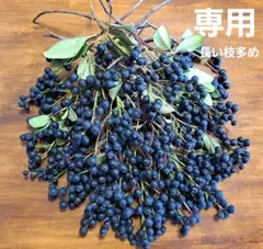 blanc様専用【25cm以上ロング多め】シャリンバイ　ネコポスいっぱい