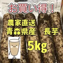 お買い得！！農家直送 青森県産 長芋 5kg スタミナup☆のサムネイル