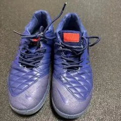 日本未発売　25.5 NIKE LUNARGATO II IC