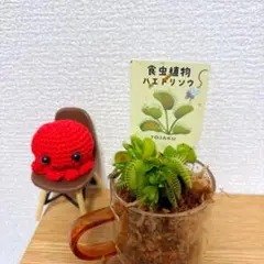 なつこ様 リクエスト 2点 まとめ商品