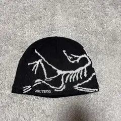 ARC'TERYX ニット帽 恐竜デザイン