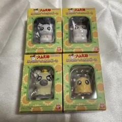 ハム太郎 フロッキードール