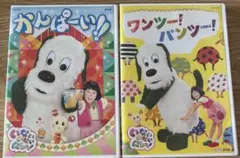 かんぱい！ ワンツー！パンツ！ DVDセット