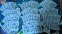 ポケモンカード ポッチャマ セット 約50枚