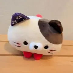猫*士様 もちふわ！ ころころにゃんこ 八重山 石垣島 限定 いりおもて