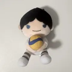ハイキュー!! 影山飛雄 レシーブぬいぐるみマスコット シュヴァイデンアドラーズ