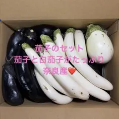 茄子の詰め合わせ　奈良産　約3kg cのサムネイル